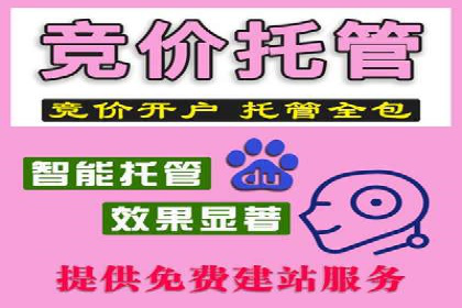 SEM服务公司助力企业品牌推广案例
